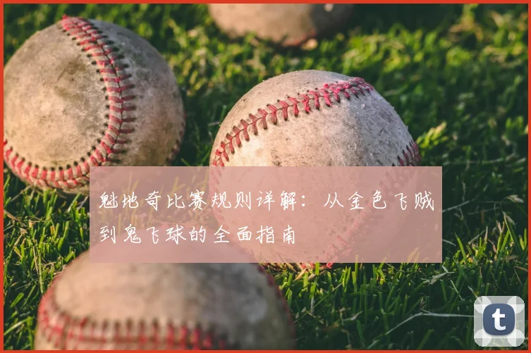 魁地奇比赛规则详解:从金色飞贼到鬼飞球的全面指南