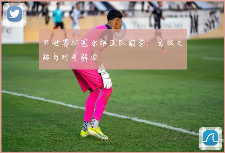 年世界杯塞尔维亚队前景：晋级之路与对手解读