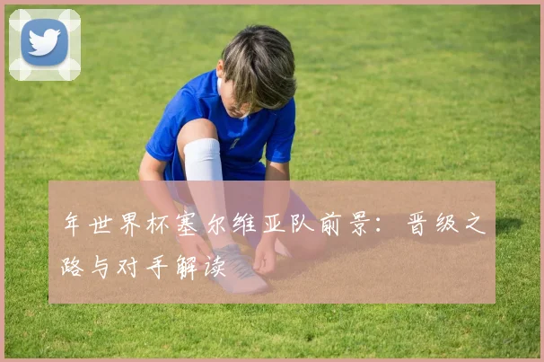 年世界杯塞尔维亚队前景:晋级之路与对手解读